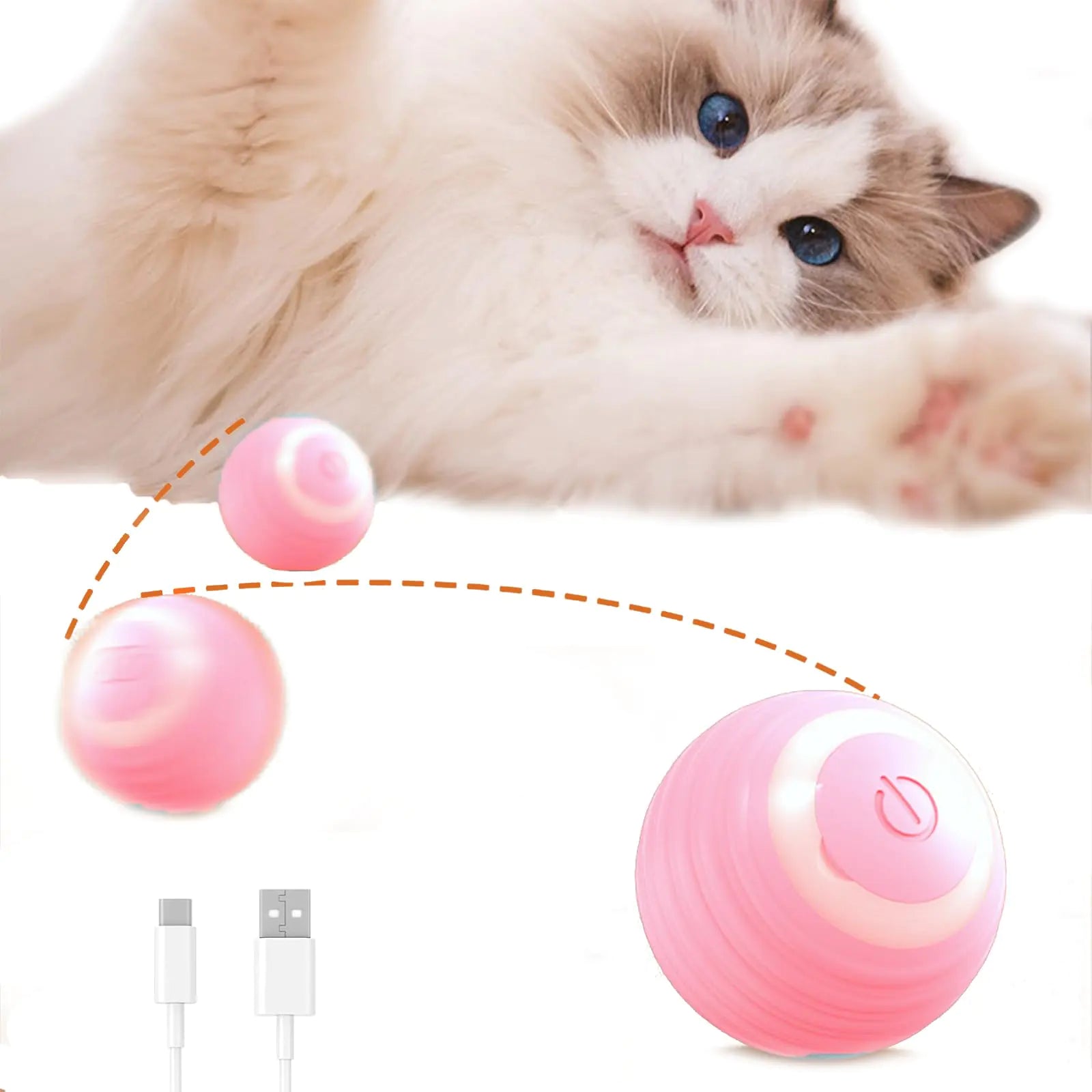 Catnivo ball rolling